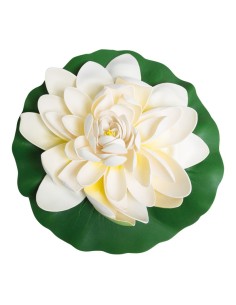 Lirio de agua floreciendo para la decoración de verano en escaparates de tiendas o comercios 2