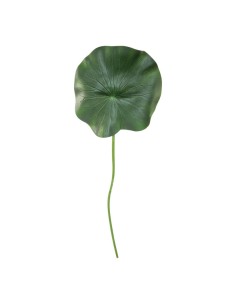 Hoja de nenúfar con tallo para la decoración de verano en escaparates de tiendas o comercios 2