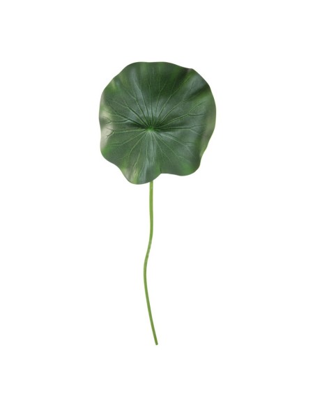 Hoja de nenúfar con tallo para la decoración de verano en escaparates de tiendas o comercios