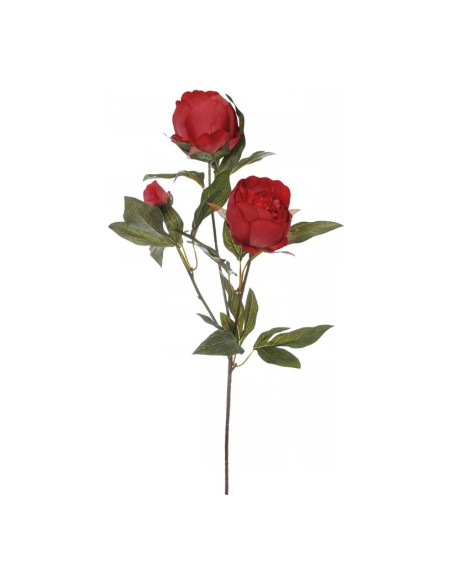 Ramita de peonía para la decoración en del día de los enamorados