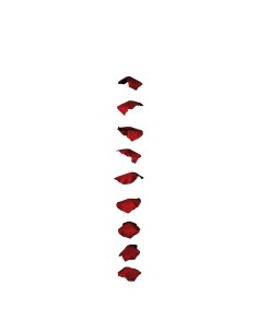 Guirnalda de rosas para la decoración en del día de los enamorados 2