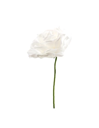 Cabeza de rosa para la decoración de verano en escaparates de tiendas o comercios