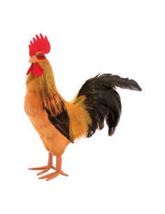 Gallo para la decoración de verano en escaparates de tiendas o comercios 2