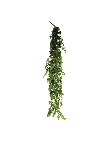 Colgador de hojas de pothos para la decoración de verano en escaparates de tiendas o comercios