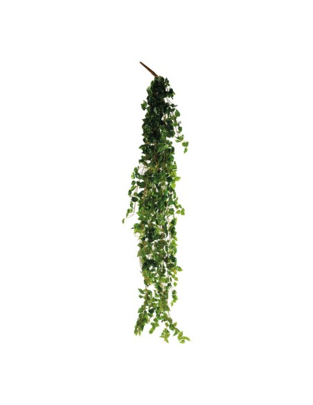 Colgador de hojas de pothos para la decoración de verano en escaparates de tiendas o comercios