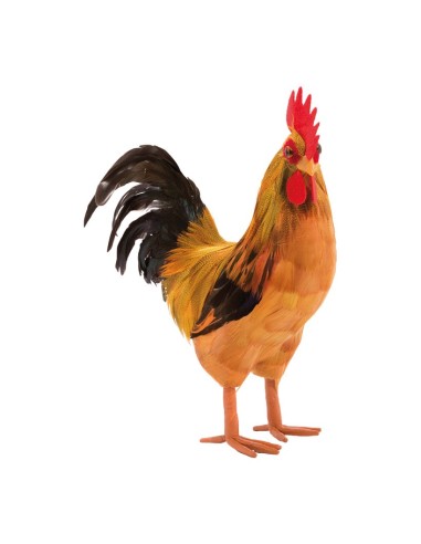 Gallo para la decoración de verano en escaparates de tiendas o comercios