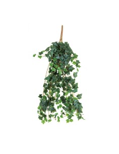 Colgador de hiedra para la decoración de verano en escaparates de tiendas o comercios 2