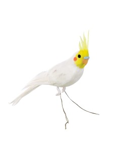Cacatúa para la decoración de verano en escaparates de tiendas o comercios 2
