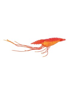 Camarón para la decoración de verano en escaparates de tiendas o comercios 2