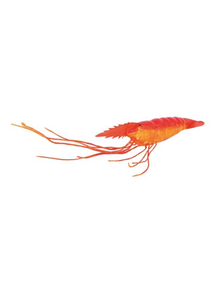 Camarón para la decoración de verano en escaparates de tiendas o comercios