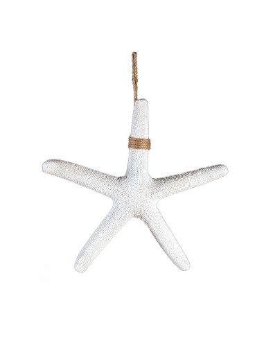 Estrella de mar para la decoración de verano en escaparates de tiendas o comercios