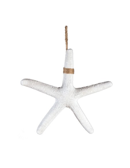 Estrella de mar para la decoración de verano en escaparates de tiendas o comercios