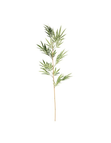 Rama de bambú para la decoración de verano en escaparates de tiendas o comercios