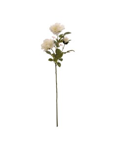 Aerosol de rosas para la decoración en del día de los enamorados 2