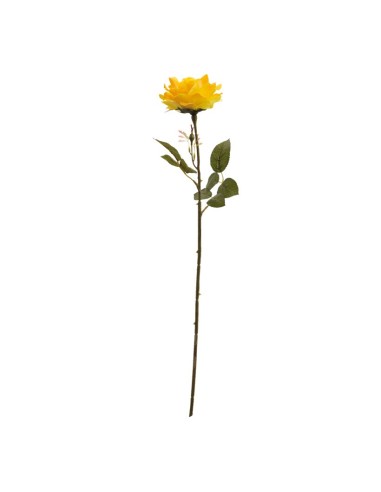 Rosa para la decoración en del día de los enamorados