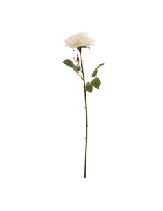Rosa para la decoración en del día de los enamorados 2