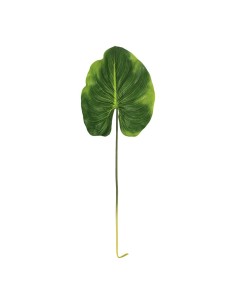 Hoja de canna para la decoración de verano en escaparates de tiendas o comercios 2