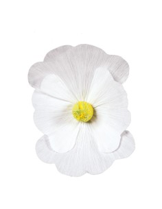 Florecer para la decoración de verano en escaparates de tiendas o comercios 2