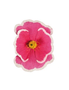 Florecer para la decoración de verano en escaparates de tiendas o comercios 2