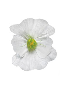 Florecer para la decoración de verano en escaparates de tiendas o comercios 2