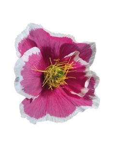 Florecer para la decoración de verano en escaparates de tiendas o comercios 2