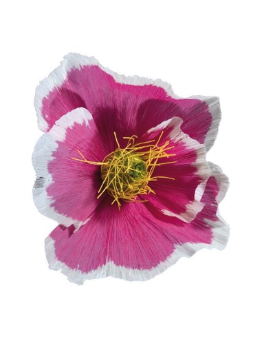Florecer para la decoración de verano en escaparates de tiendas o comercios