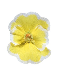 Florecer para la decoración de verano en escaparates de tiendas o comercios 2