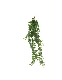 Colgador de hiedra para la decoración de verano en escaparates de tiendas o comercios 2
