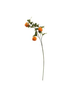 Aerosol naranja para la decoración de verano en escaparates de tiendas o comercios 2
