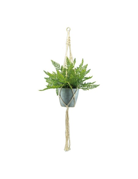Helecho para la decoración de verano en escaparates de tiendas o comercios