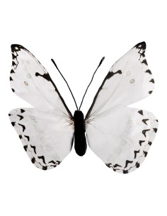 Mariposa para la decoración de verano en escaparates de tiendas o comercios 2
