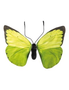 Mariposa para la decoración de verano en escaparates de tiendas o comercios 2