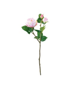 Rosa para la decoración en del día de los enamorados 2