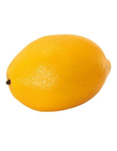 Limón para la decoración de verano en escaparates de tiendas o comercios 2