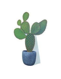 Recorte »cactus 1« para la decoración de verano en escaparates de tiendas o comercios 2