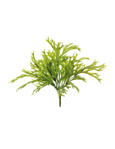 Arbusto de pastos marinos para la decoración de verano en escaparates de tiendas o comercios