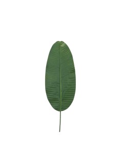 Hoja de banana para la decoración de verano en escaparates de tiendas o comercios 2