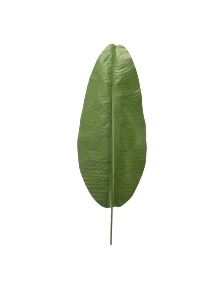Hoja de banana para la decoración de verano en escaparates de tiendas o comercios