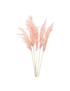 Manojo de hierba de pampa para la decoración de verano en escaparates de tiendas o comercios 2