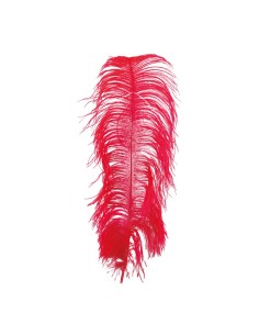 Pluma de avestruz para la decoración de verano en escaparates de tiendas o comercios 2