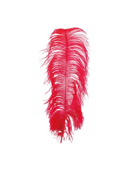 Pluma de avestruz para la decoración de verano en escaparates de tiendas o comercios