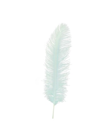 Pluma de avestruz para la decoración de verano en escaparates de tiendas o comercios