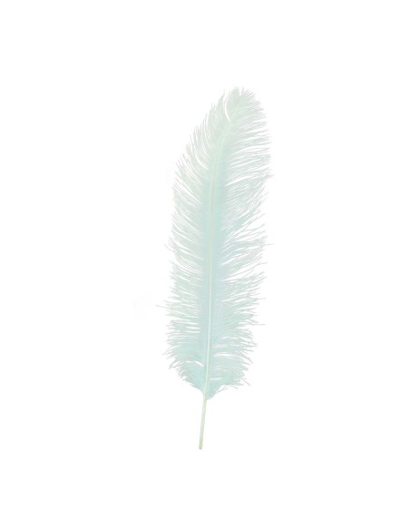 Pluma de avestruz para la decoración de verano en escaparates de tiendas o comercios