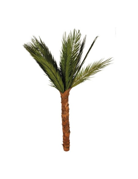 Palmera areca para la decoración de verano en escaparates de tiendas o comercios