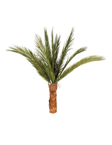 Palmera fénix para la decoración de verano en escaparates de tiendas o comercios