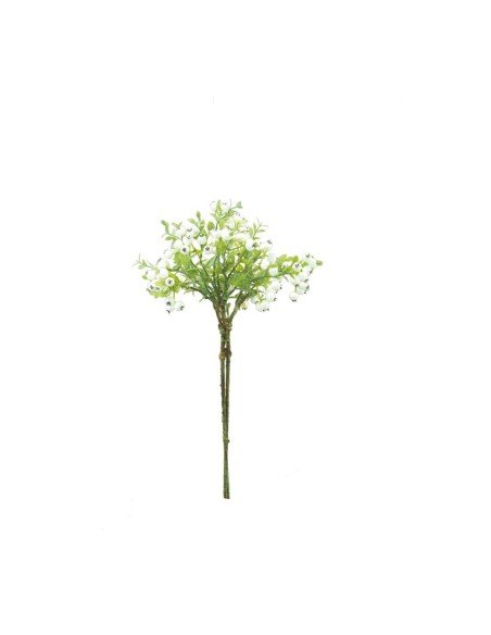 Racimo de bayas para la decoración de verano en escaparates de tiendas o comercios