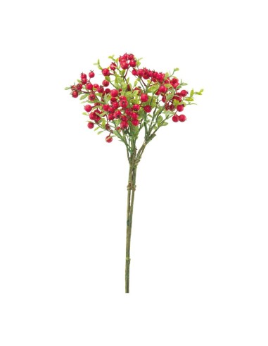 Racimo de bayas para la decoración de verano en escaparates de tiendas o comercios