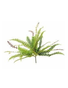 Arbusto de hoja de helecho para la decoración de verano en escaparates de tiendas o comercios 2