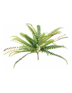 Arbusto de hoja de helecho para la decoración de verano en escaparates de tiendas o comercios 2