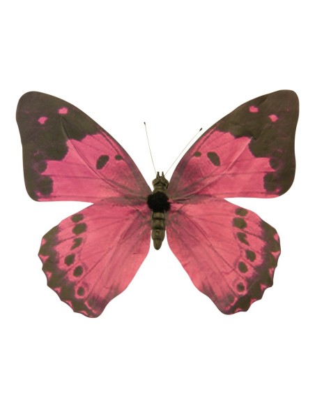 Mariposa para la decoración de verano en escaparates de tiendas o comercios